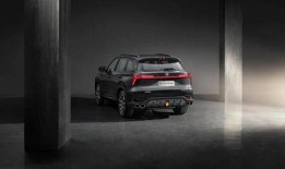 国产二,崛起中的民族品牌力量