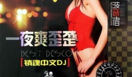 国产极品一夜销魂,销魂之作引发热议