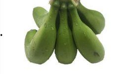 国产成人大香蕉