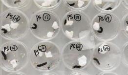 国产冒白浆,揭秘传统工艺与现代创新的完美融合