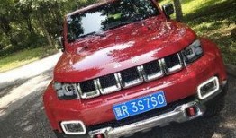 国产二,崛起中的民族品牌力量