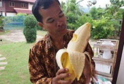 国产成人大香蕉