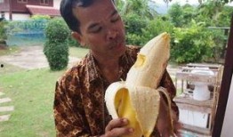 国产成人大香蕉