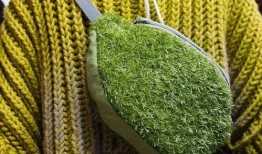 青草青青国产视频,国产视频中的青春记忆与成长轨迹