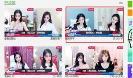 国产主播三级,揭秘我国网络直播行业的崛起与挑战