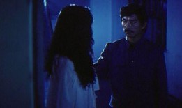 国产大黄片,传承与创新，中医药瑰宝的现代化之路